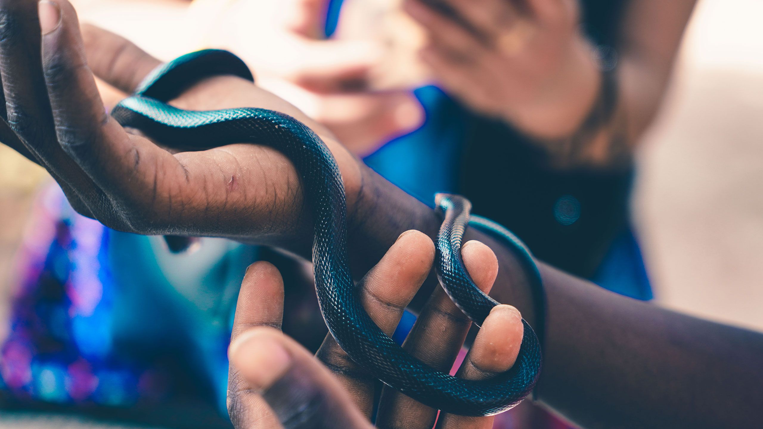 Swiss Gambia Association - Gambia - Natural Culture - Travel